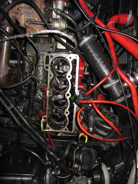 img_1116.jpg img_1116.jpg