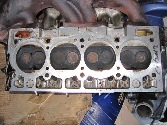 img_1122.jpg img_1122.jpg