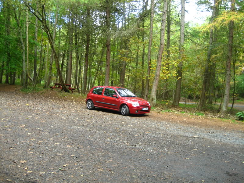IMG_1135.jpg IMG_1135.jpg