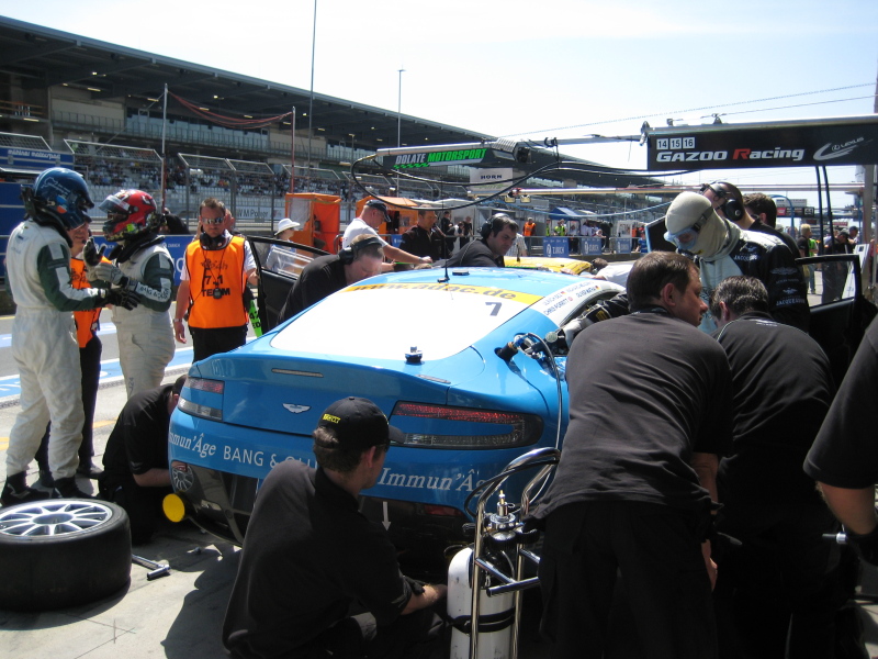 IMG_1135.jpg IMG_1135.jpg