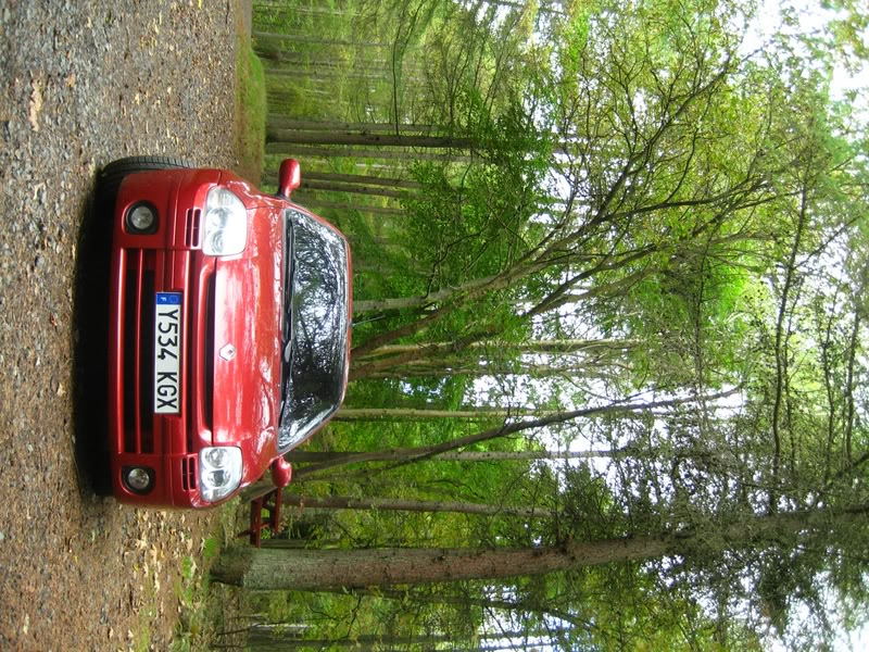 IMG_1137.jpg IMG_1137.jpg