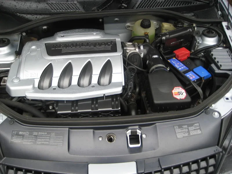 IMG_1264.webp