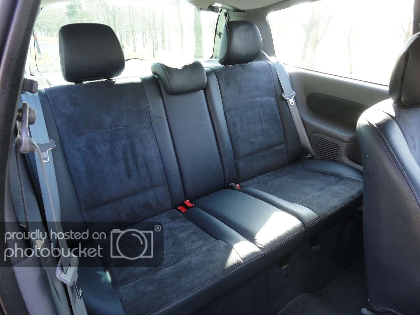 IMG_1373_zpsh1atu99u.webp