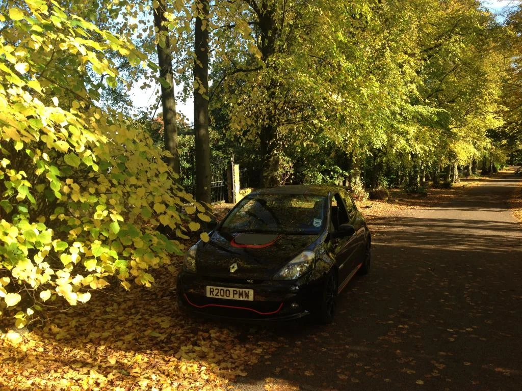 IMG_1379_zpsaab046fe.webp