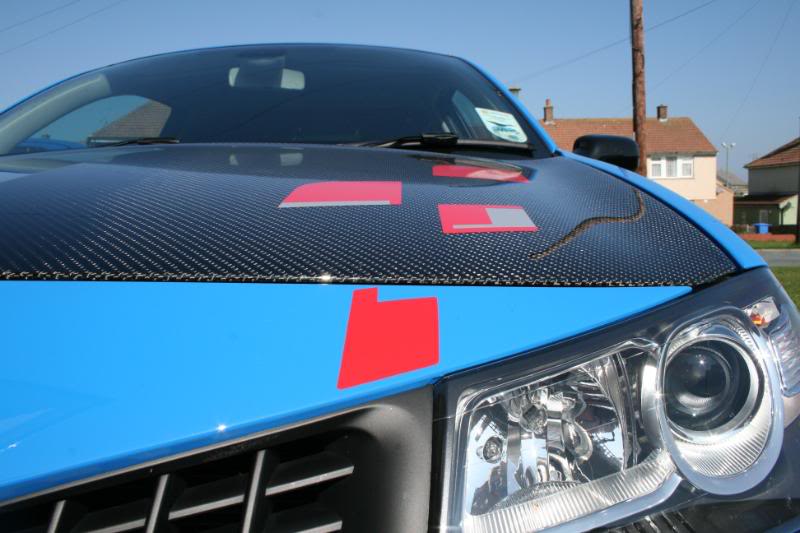 IMG_1381.jpg IMG_1381.jpg