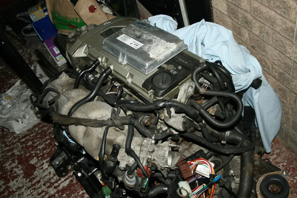 IMG_1384.webp