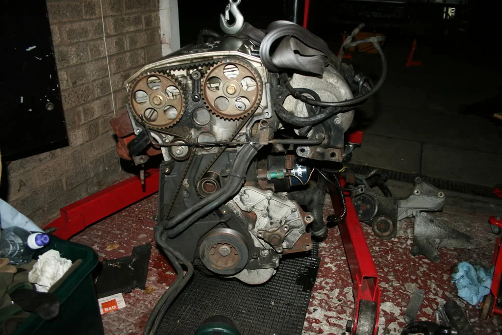 IMG_1397.webp