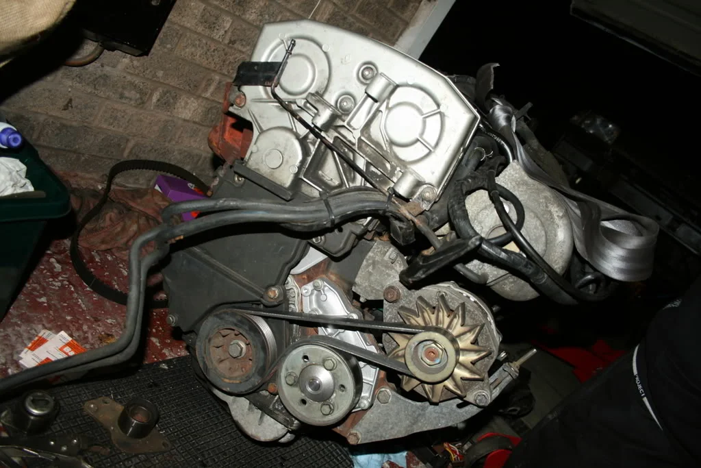 IMG_1419.webp