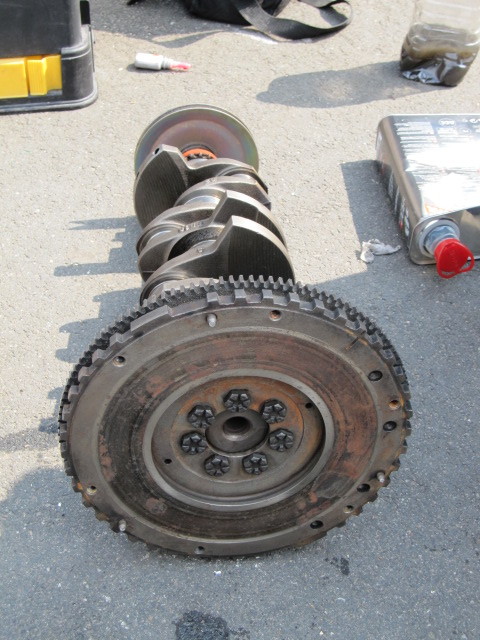 img_1429.jpg img_1429.jpg