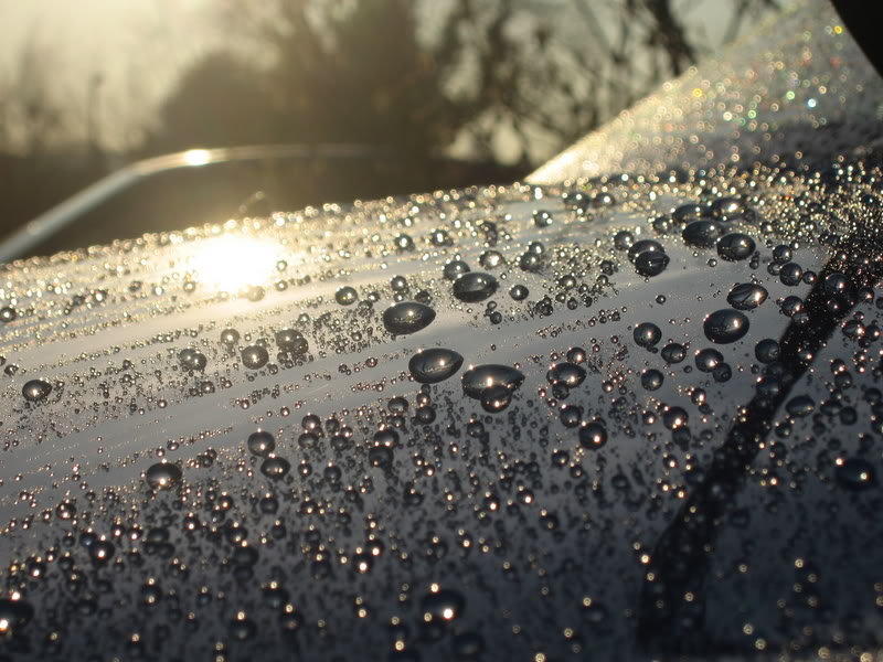 IMG_1431.jpg IMG_1431.jpg