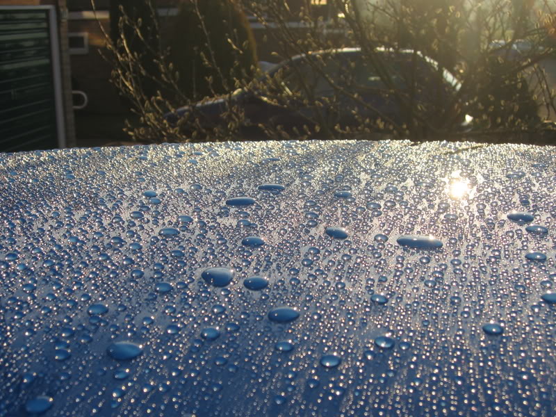 IMG_1436.jpg IMG_1436.jpg