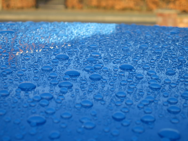 IMG_1437.jpg IMG_1437.jpg