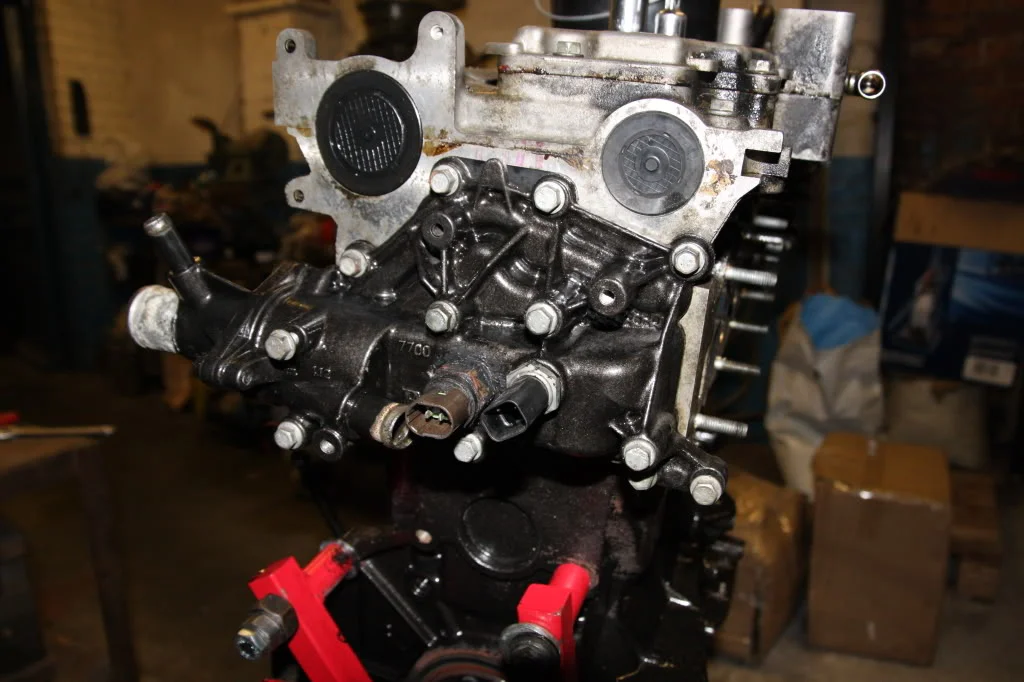 IMG_1437_1.webp