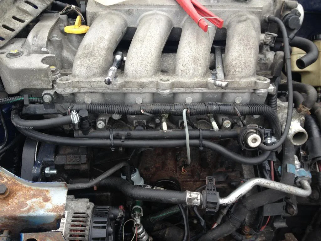 IMG_1439_zps3aac3476.webp