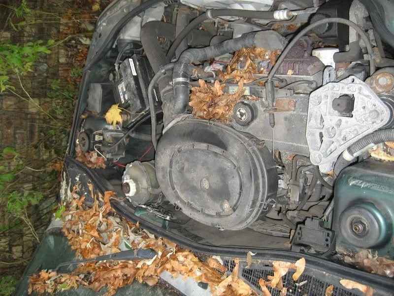 IMG_1452.webp