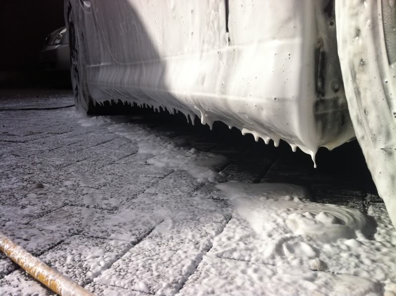 IMG_1572.jpg IMG_1572.jpg