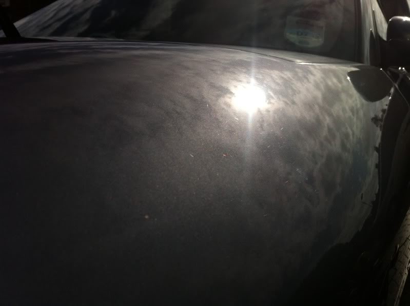 IMG_1589.jpg IMG_1589.jpg