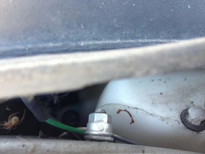 IMG_1595_zpsaf4b6019.webp