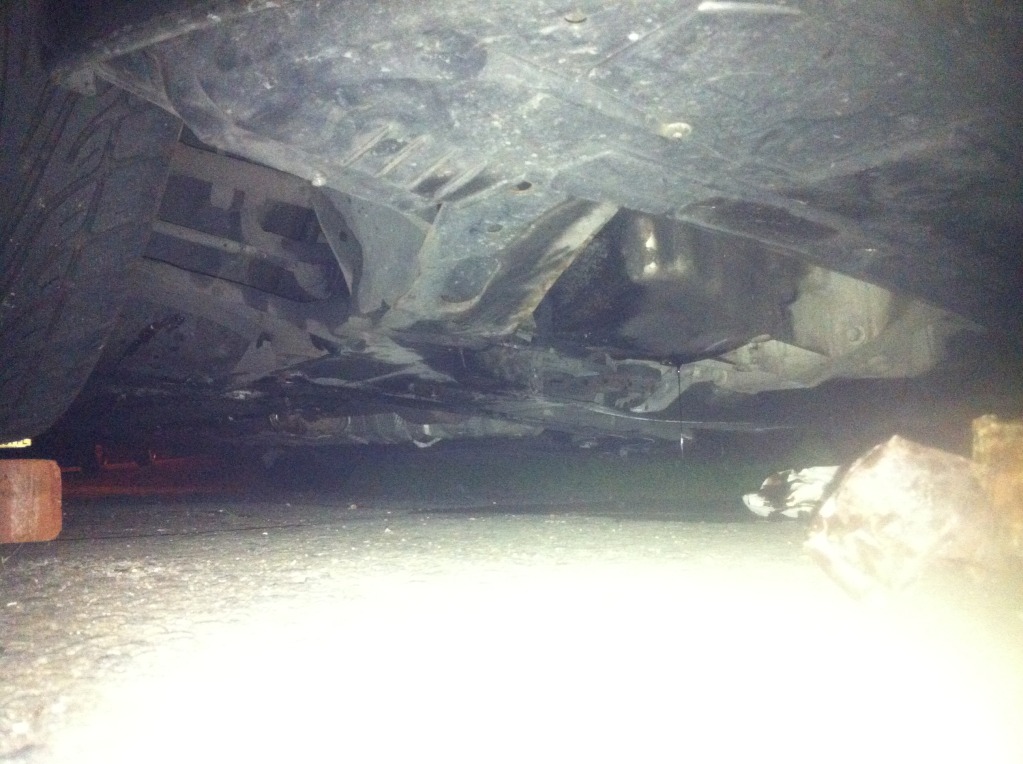 IMG_1599.jpg IMG_1599.jpg