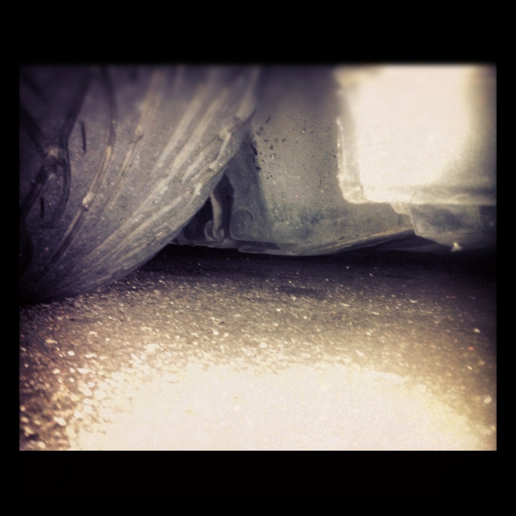 IMG_1612.jpg IMG_1612.jpg