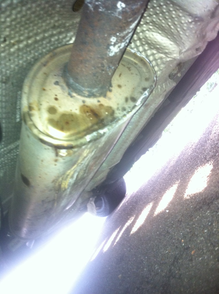 IMG_1617-1.jpg IMG_1617-1.jpg