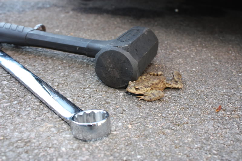 IMG_1705.jpg IMG_1705.jpg