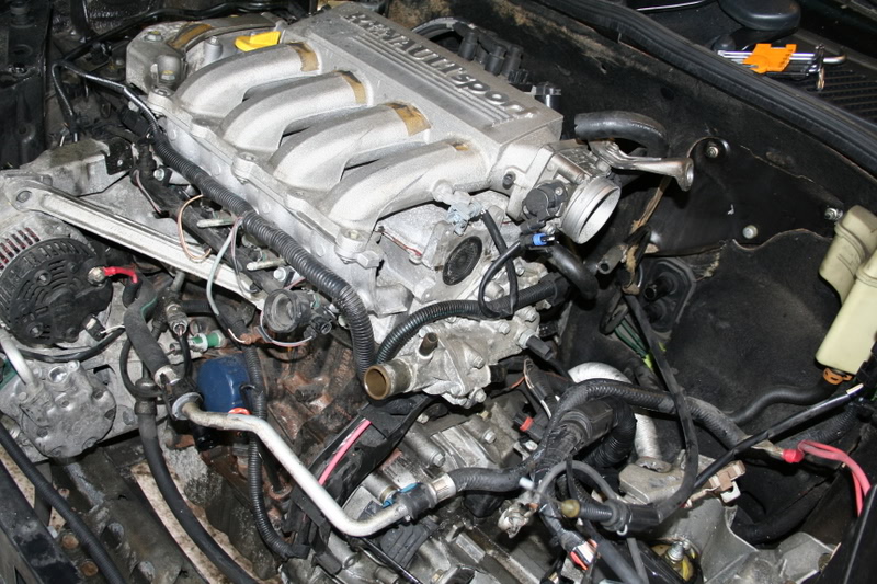 IMG_1791.jpg IMG_1791.jpg