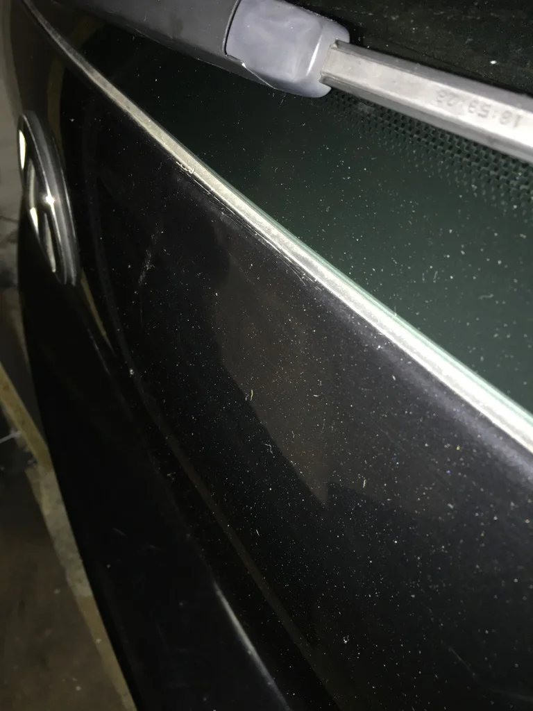 IMG_1816_zpswtrrtx48.webp