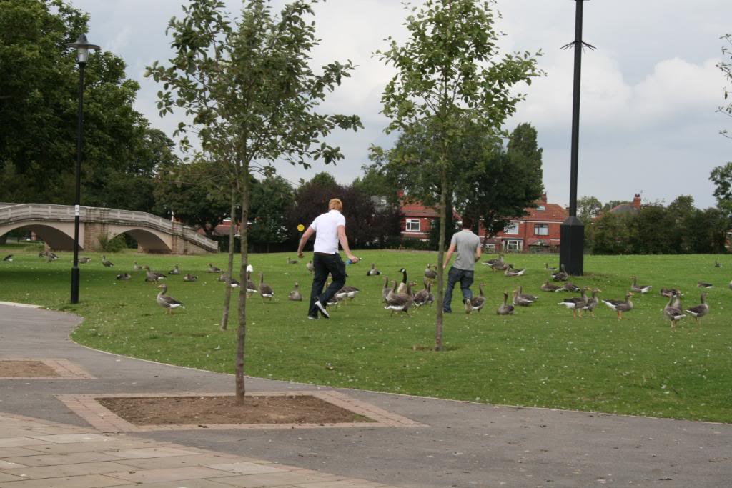 IMG_1911.jpg IMG_1911.jpg