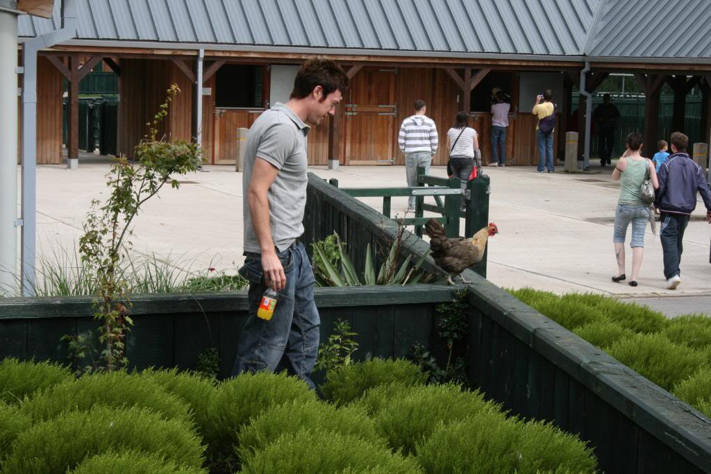 IMG_1915.jpg IMG_1915.jpg