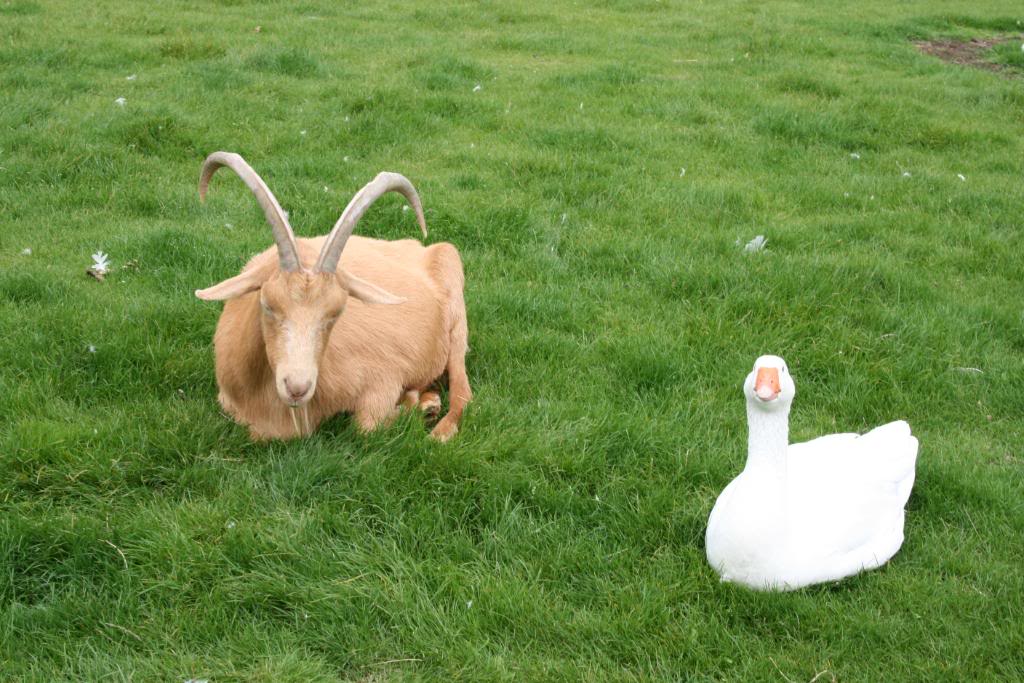 IMG_1916.jpg IMG_1916.jpg