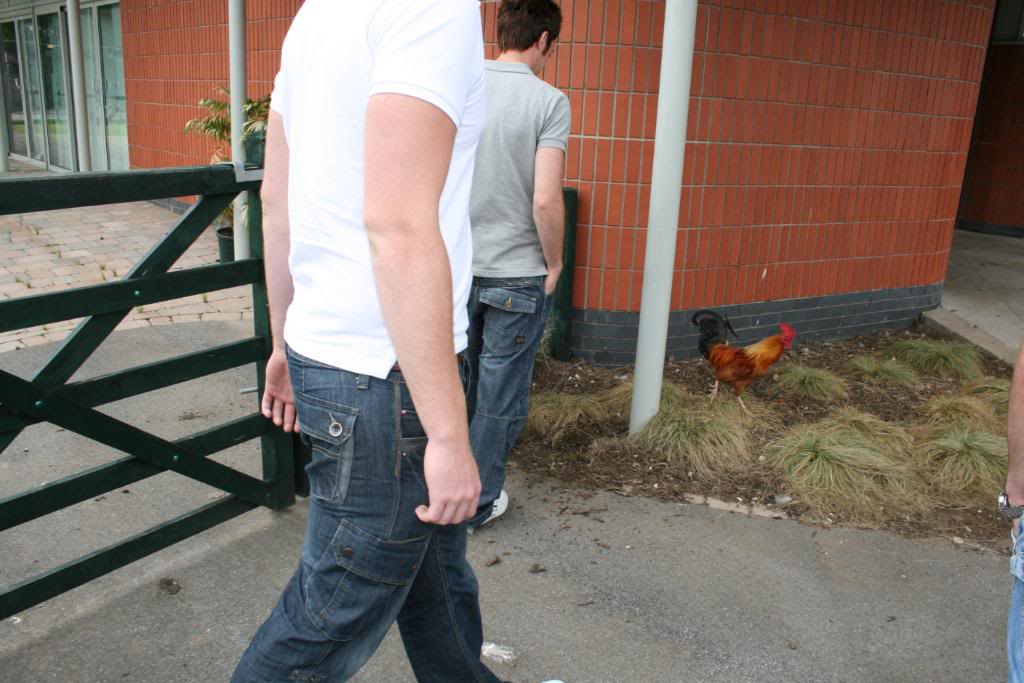 IMG_1917.jpg IMG_1917.jpg