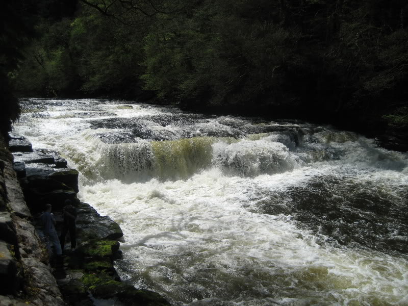 IMG_1946.jpg IMG_1946.jpg