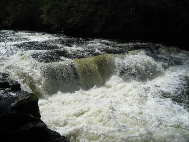 IMG_1949.jpg IMG_1949.jpg