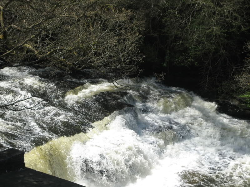 IMG_1953.jpg IMG_1953.jpg