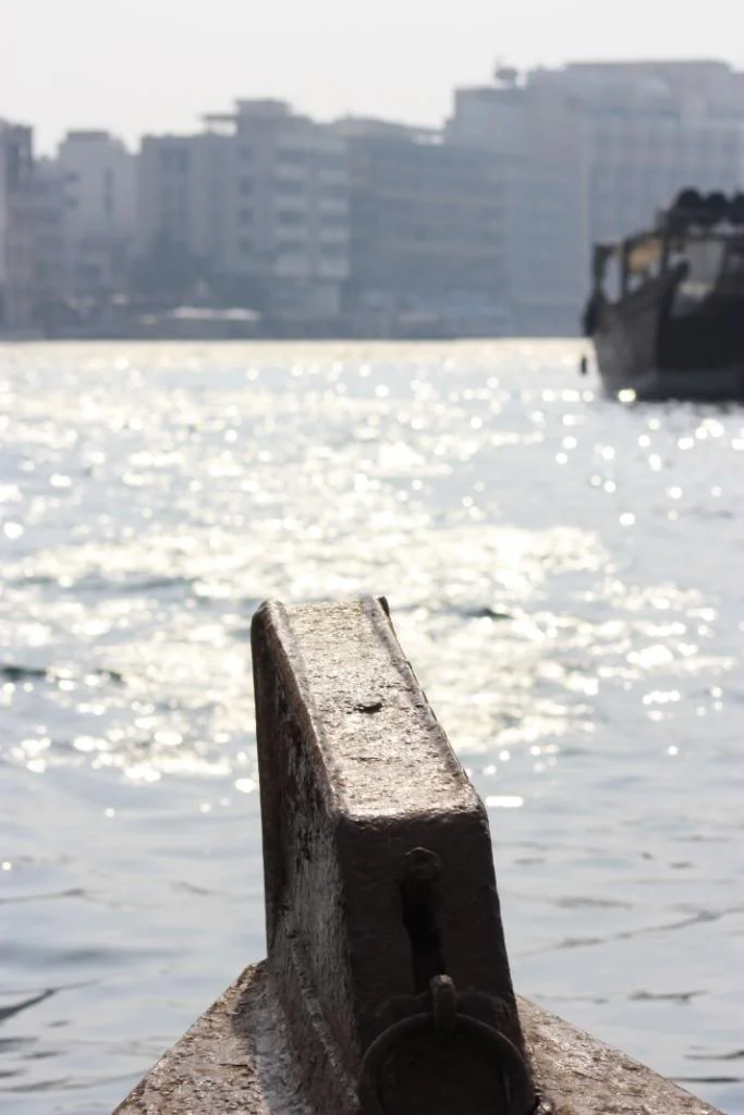 IMG_1953.webp