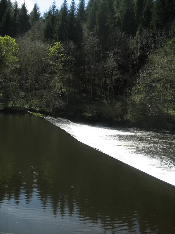 IMG_1955.jpg IMG_1955.jpg