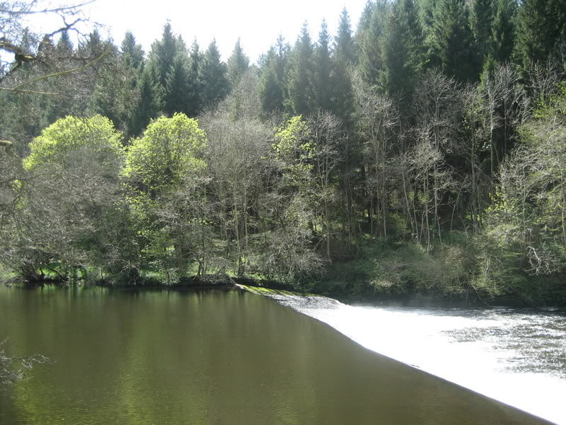 IMG_1956.jpg IMG_1956.jpg