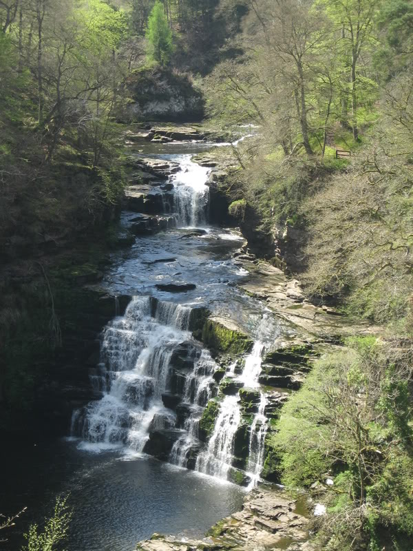 IMG_1959.jpg IMG_1959.jpg