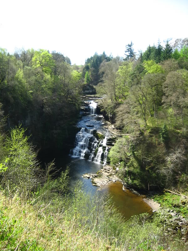 IMG_1960.jpg IMG_1960.jpg