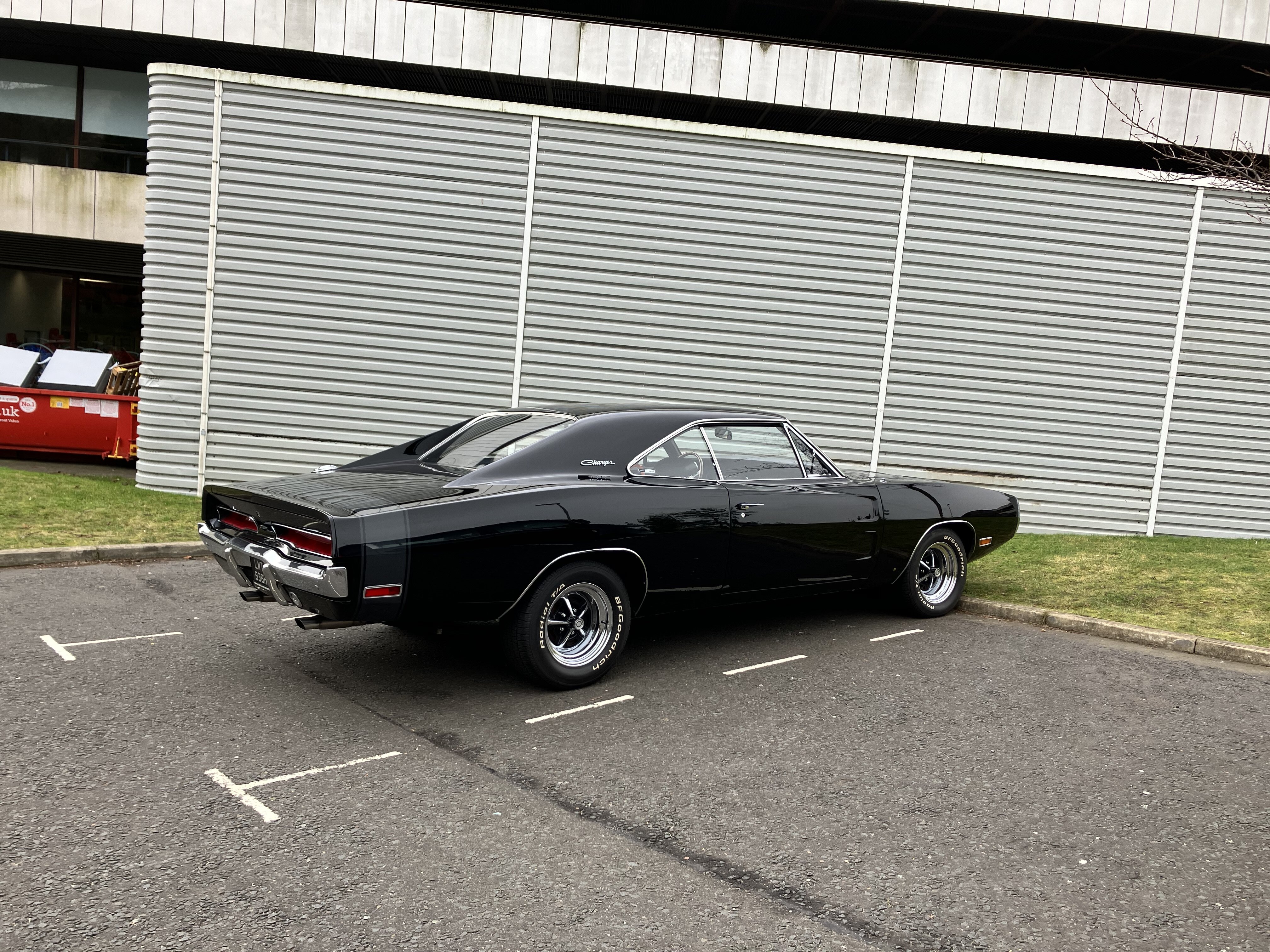 IMG_1964.jpeg
