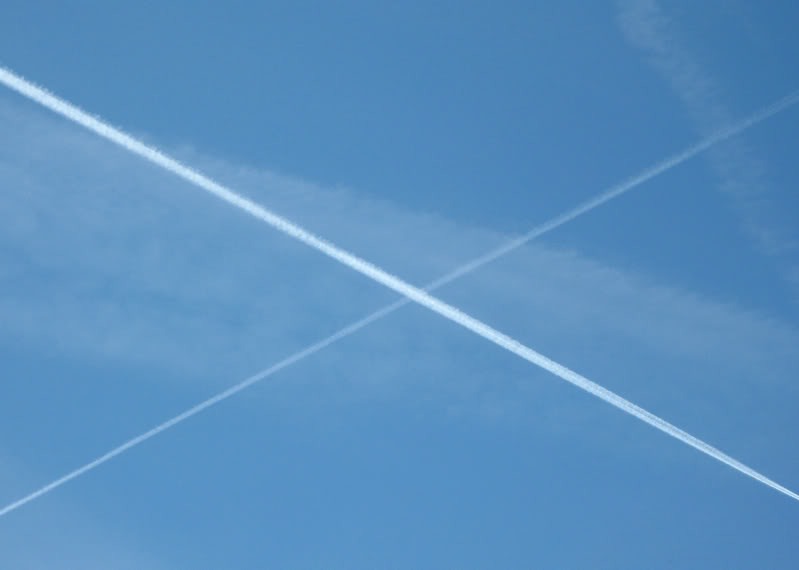 IMG_1966_edited.jpg IMG_1966_edited.jpg