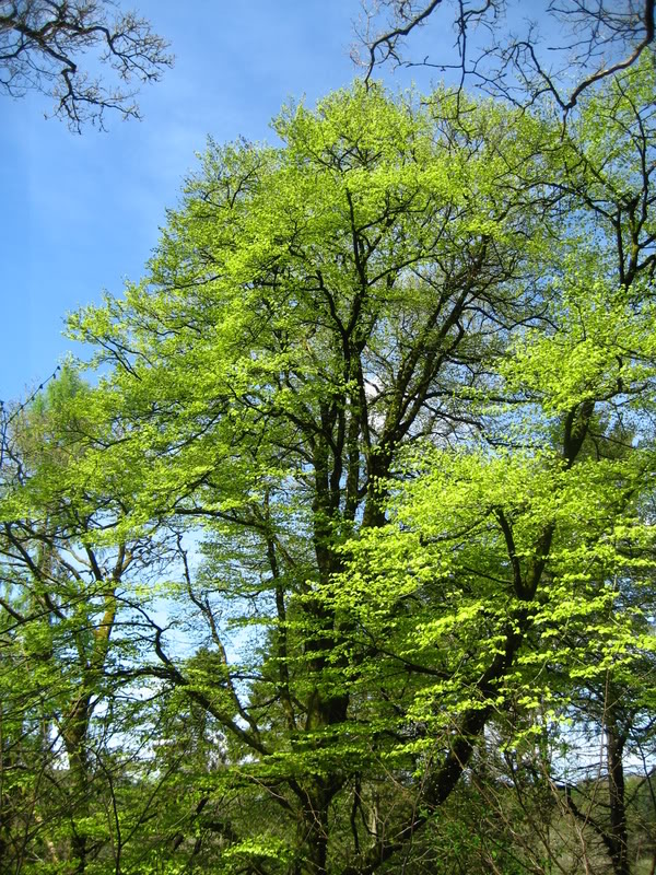 IMG_1967.jpg IMG_1967.jpg