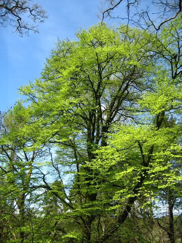 IMG_1967.webp