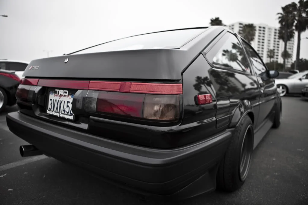 IMG_1969_1984.webp