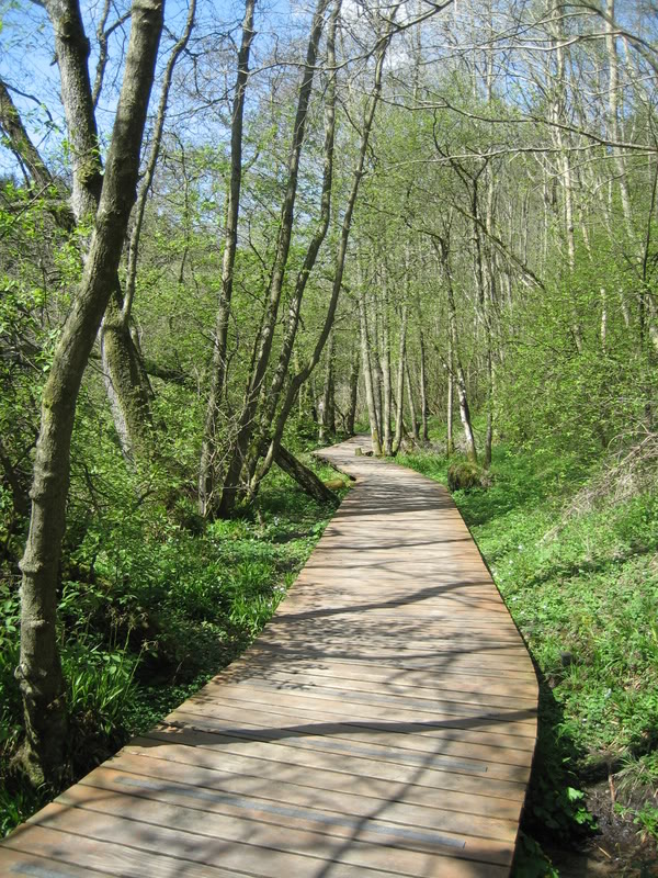 IMG_1970.jpg IMG_1970.jpg