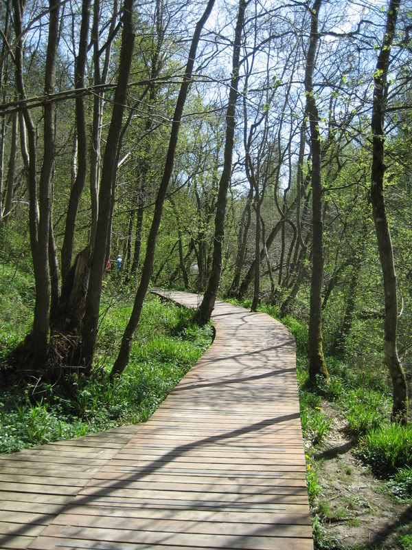 IMG_1971.jpg IMG_1971.jpg