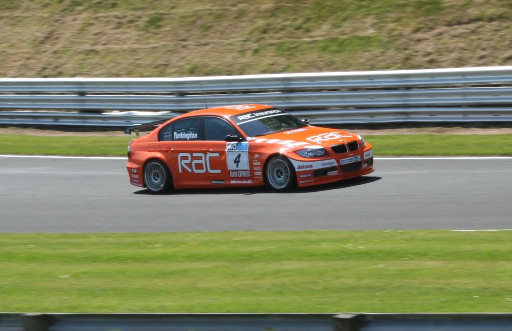 IMG_1975_cropped.jpg