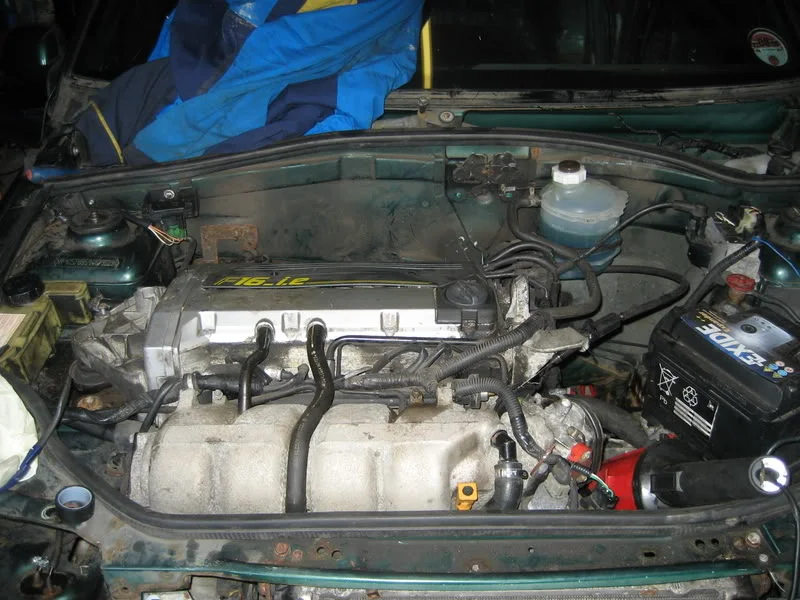 IMG_2008.webp
