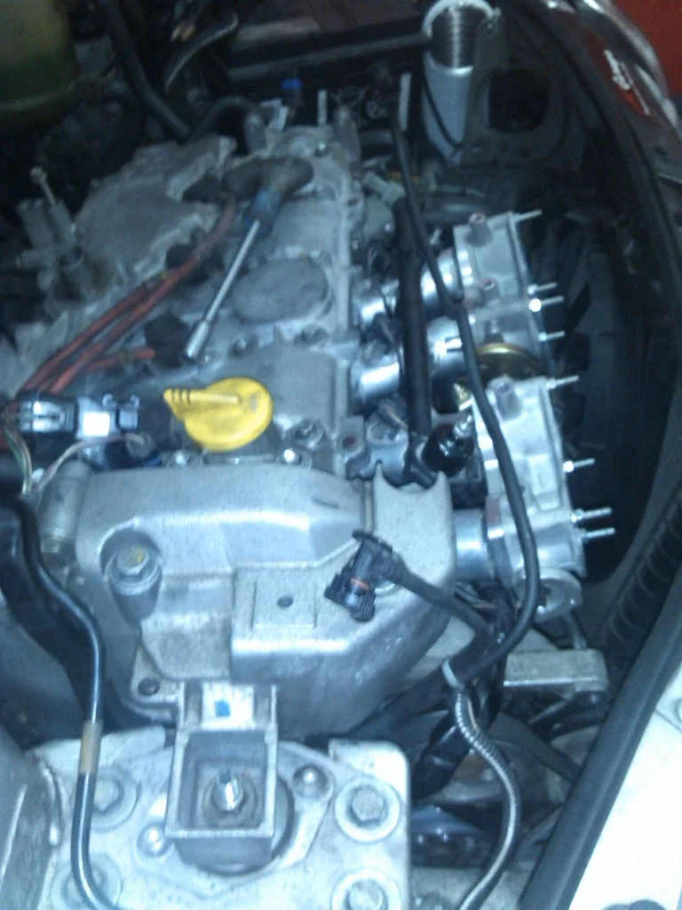 IMG_20130918_191807.webp